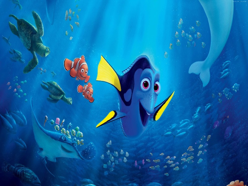 Finding Nemo - Đi Tìm Nemo - dù bao năm vẫn nguyên vẹn cảm xúc tuổi thơ