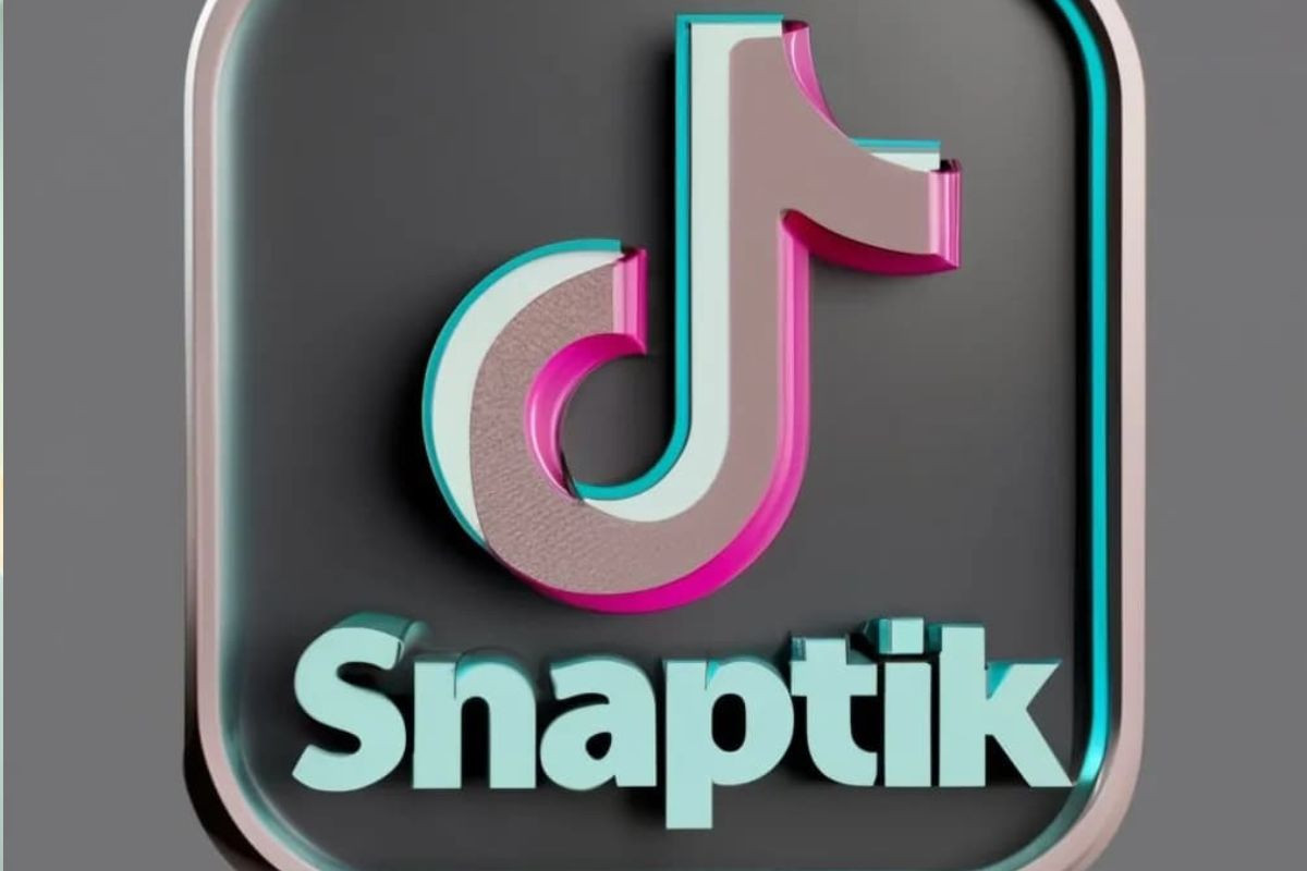 Snaptik là gì? hướng dẫn tải video tiktok không logo - vntre